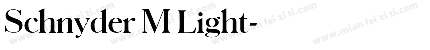 Schnyder M Light字体转换